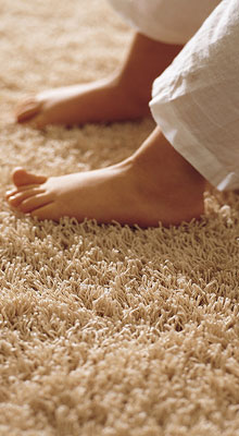 alfombra limpia